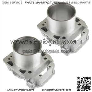 2 Cylinder fits Can-am Renegade 800R 4x4 EFI 2011 2012 2013 2014 2015 (For: Can-Am)