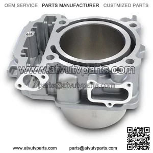 Bare Cylinder, Rear, SFA 1000