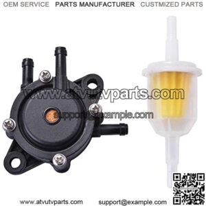 Fuel Pump 24 393 04-S 24 393 16-S for 491922 691034 692313 807429 808281 808322 808656 49040-7001 with Fuel Filter