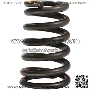 Valve Spring SFA 1000