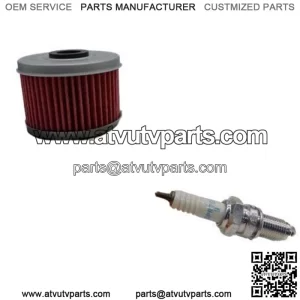 Honda TRX300 FourTrax 300 Tune Up Kit Oil Filter NGK Spark Plug TRX300FW TRX (For: Honda)
