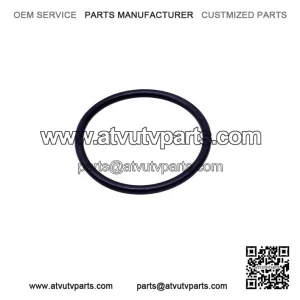 O-Ring 293300059
