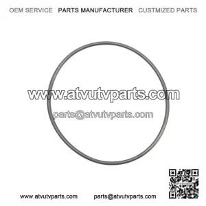 O-Ring 420831160, P420831160