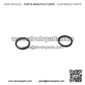 O-Ring 293300064