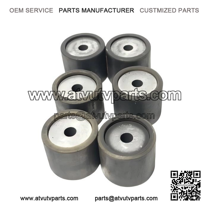 ROLLER KPL 10GR 420281310 OEM, 6 Pc Used for Can Am Bombardier