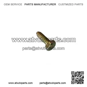 OEM Hex Screw 207161844 for 2001-07 Can-Am DS