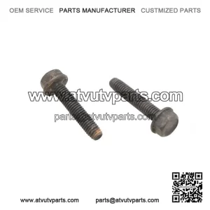 Hex Flange Screws M6x30 210263080