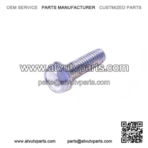 Tapping Screw 420941925