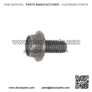 Hex Screw Part Number - 250000073 For Can-Am