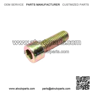 Socket Screw M10x30 205003044