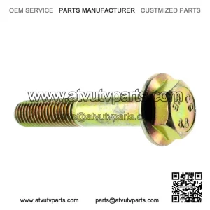 Hex Flanged Screw (M10 X 60) 207606044 Can-Am