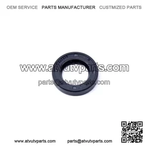 Oil Seal 420250130